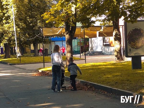 Фото дня: осінь у Нововолинську починається з каштанів | Новини Нововолинська