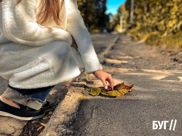 Фото дня: осінь у Нововолинську починається з каштанів | Новини Нововолинська