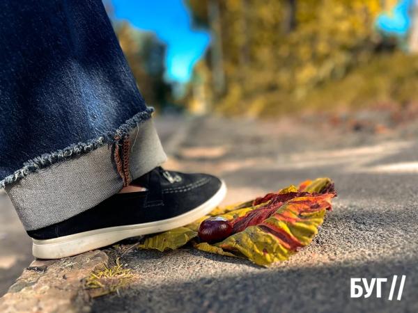 Фото дня: осінь у Нововолинську починається з каштанів | Новини Нововолинська