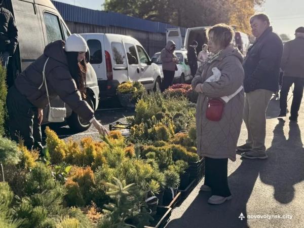 Овочі, фрукти та домашні смаколики: як у Нововолинську ярмаркували | Новини Нововолинська