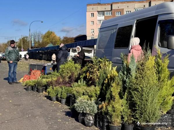 Овочі, фрукти та домашні смаколики: як у Нововолинську ярмаркували | Новини Нововолинська