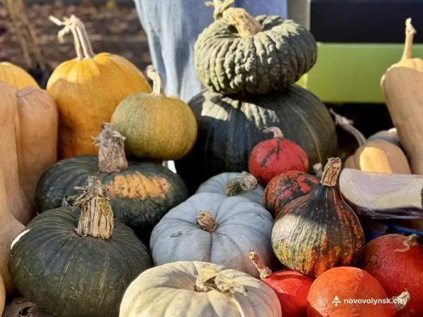 Овочі, фрукти та домашні смаколики: як у Нововолинську ярмаркували | Новини Нововолинська