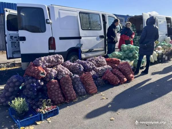 Овочі, фрукти та домашні смаколики: як у Нововолинську ярмаркували | Новини Нововолинська