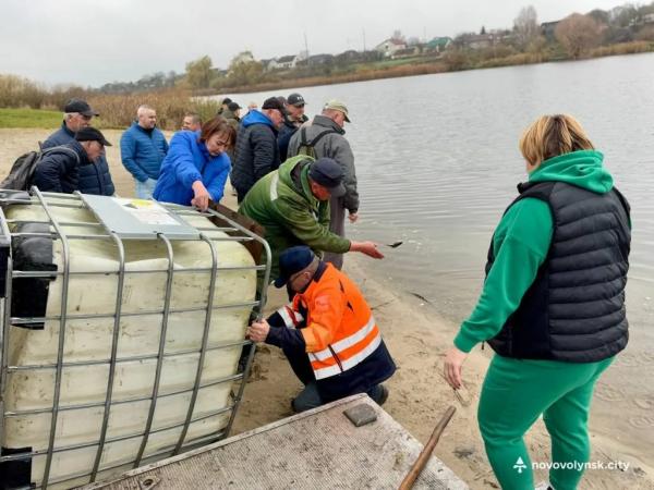 У Нововолинське озеро запустили майже пів тонни риби | Новини Нововолинська