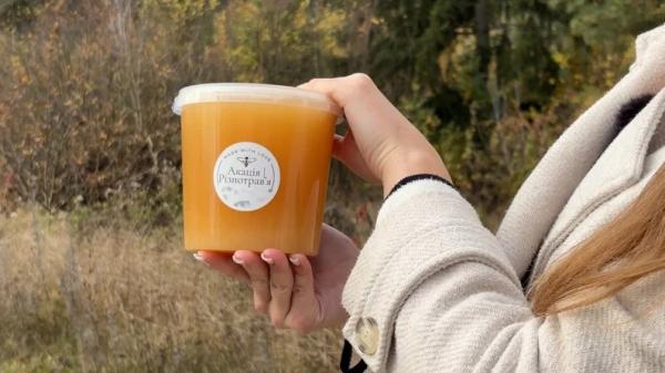 22-річна нововолинянка доглядає пасіку зниклого на війні батька | Новини Нововолинська