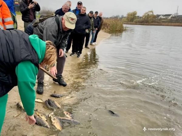 У Нововолинське озеро запустили майже пів тонни риби | Новини Нововолинська