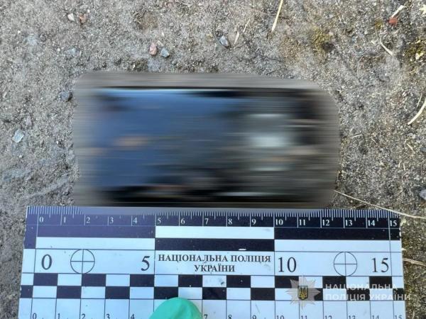 Вбивство пенсіонерки у Благодатному: підозрюваним виявився 15-річний хлопець | Новини Нововолинська