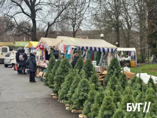Фото дня: у Нововолинську на ринку біля стадіону стартував продаж ялинок та новорічного декору | Новини Нововолинська