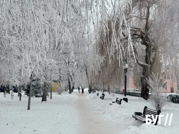 Фото дня: кришталева зима в Нововолинську : природа створює витвір мистецтва | Новини Нововолинська