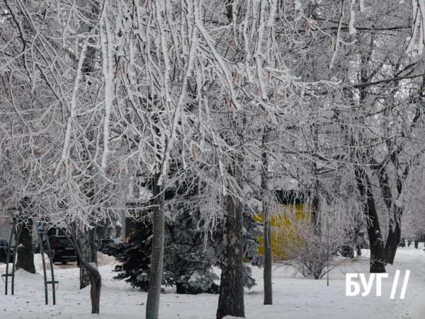 Фото дня: кришталева зима в Нововолинську : природа створює витвір мистецтва | Новини Нововолинська