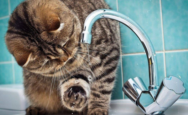 Без води залишається місто Дружківка - 09 січня 2026 :: Донеччина Без води залишається місто Дружківка - 09 січня 2026 :: Донеччина