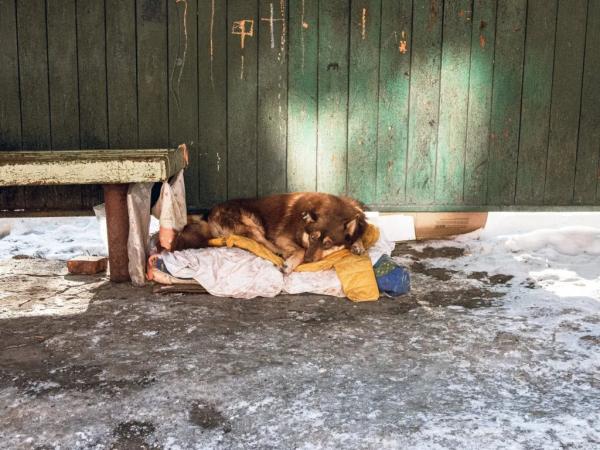 Півтисячі людей на&nbsp;один пункт незламності у&nbsp;Благодатному: репортаж | Новини Нововолинська