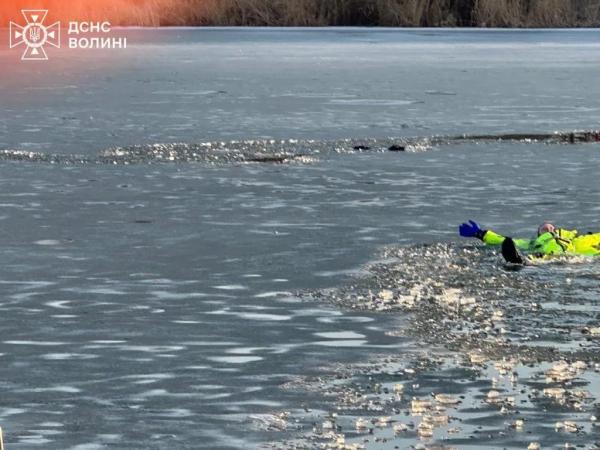 У Нововолинську рятувальники витягнули з озера собаку | Новини Нововолинська