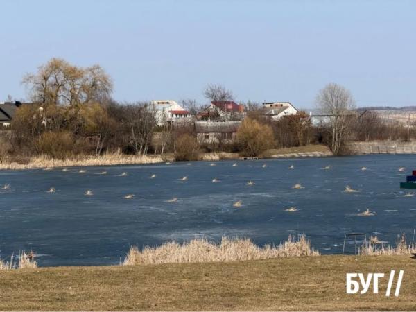 Фото дня: сліди зимової риболовлі на міському озері у Нововолинську | Новини Нововолинська