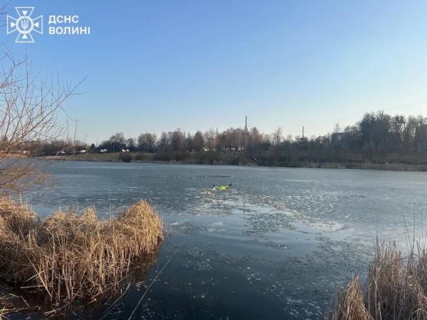 У Нововолинську рятувальники витягнули з озера собаку | Новини Нововолинська