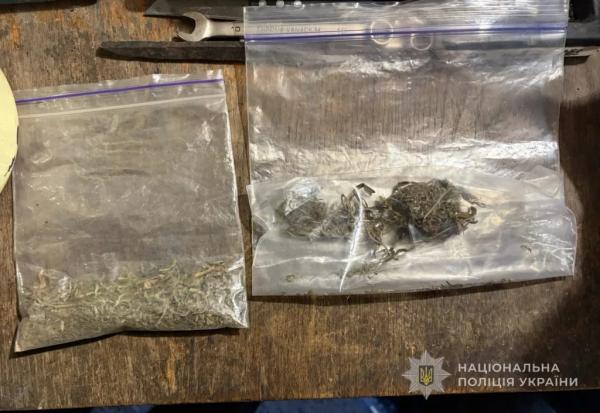 У Нововолинську викрили банду наркозбувачів | Новини Нововолинська