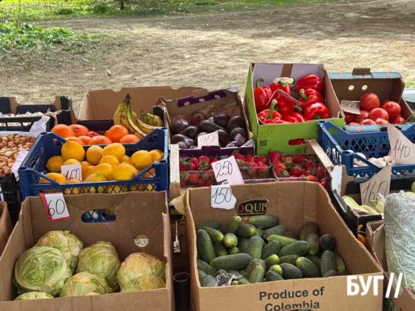 Фото дня: перша полуниця на ринку Нововолинська | Новини Нововолинська
