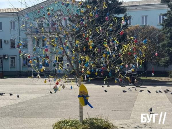 Фото дня: «Дерево єднання» у центрі Нововолинська | Новини Нововолинська Фото дня: «Дерево єднання» у центрі Нововолинська | Новини Нововолинська