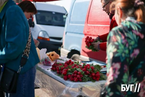 Продукти, хендмейд і жива музика: як у Нововолинську пройшов передвеликодній ярмарок | Новини Нововолинська Продукти, хендмейд і жива музика: як у Нововолинську пройшов передвеликодній ярмарок | Новини Нововолинська