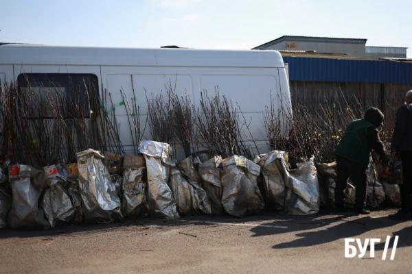 Продукти, хендмейд і жива музика: як у Нововолинську пройшов передвеликодній ярмарок | Новини Нововолинська Продукти, хендмейд і жива музика: як у Нововолинську пройшов передвеликодній ярмарок | Новини Нововолинська