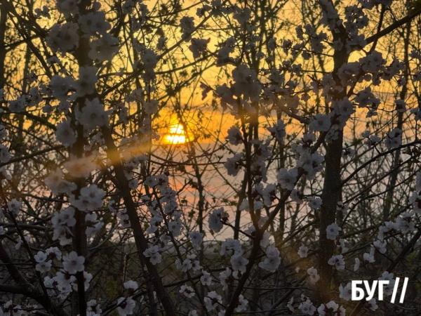 Фото дня: весна у Нововолинську та нагадування про відповідальність за природу | Новини Нововолинська