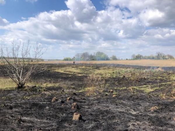 У Поромівській громаді горіла суха трава | Новини Нововолинська