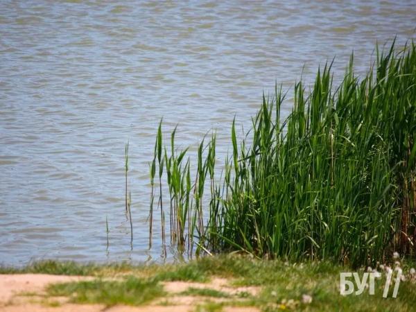 У Нововолинську оброблятимуть територію біля озера від кліщів | Новини Нововолинська