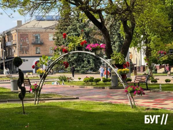 Фото дня: у Нововолинську освіжили Вишивану алею | Новини Нововолинська