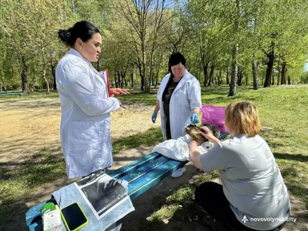 У Нововолинську провакцинували від сказу понад 30 домашніх улюбленців | Новини Нововолинська