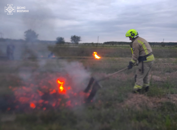 У Нововолинській громаді горіла суха трава | Новини Нововолинська