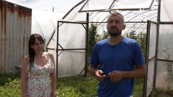 Ягоди, помідори, теплиці з квітами і гектари зернових: як господарює родина фермерів з Нововолинської громади | Новини Нововолинська