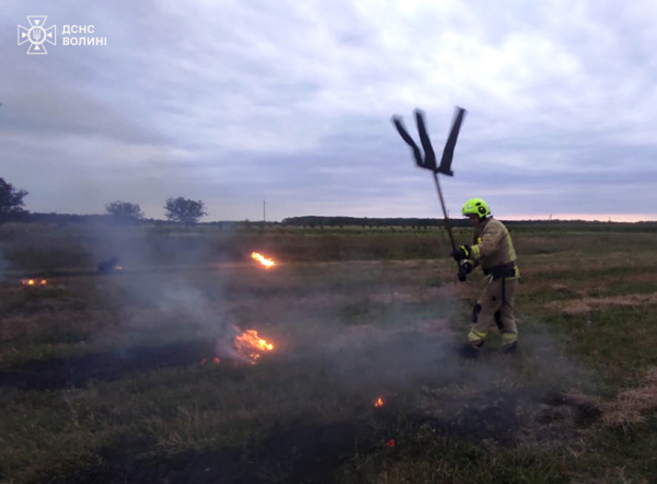 У Нововолинській громаді горіла суха трава | Новини Нововолинська