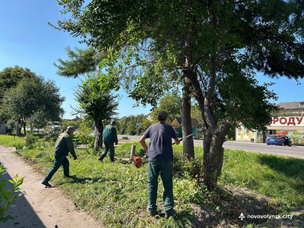 У Нововолинську ВУКГ очищувало ливневу систему міста | Новини Нововолинська
