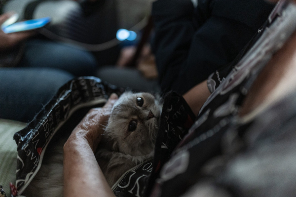 Евакуація у Костянтинівці – з міста виїхали ще 12 людей - 30 серпня 2025 :: Донеччина