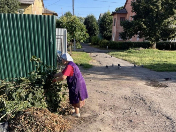 Працюють «фотопастки»: за липень у Нововолинську оштрафовано 15 порушників за викидання сміття в заборонених місцях | Новини Нововолинська