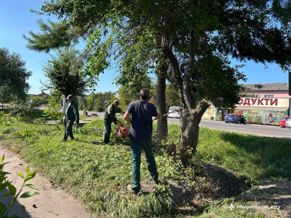 У Нововолинську ВУКГ очищувало ливневу систему міста | Новини Нововолинська