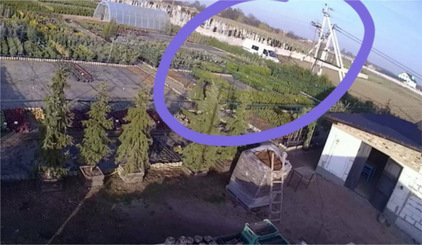 Шостий рік судової тяганини з перервами: у Нововолинську досі не винесли вирок у справі про крадіжки надгробків із кладовища | Новини Нововолинська Шостий рік судової тяганини з перервами: у Нововолинську досі не винесли вирок у справі про крадіжки надгробків із кладовища | Новини Нововолинська